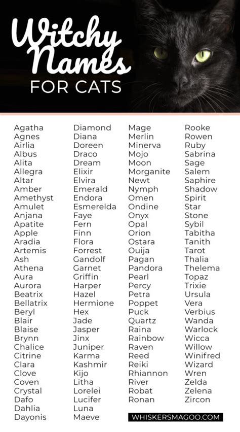 witchy names for cats